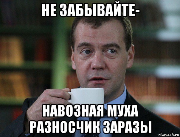 не забывайте- навозная муха разносчик заразы, Мем Медведев спок бро