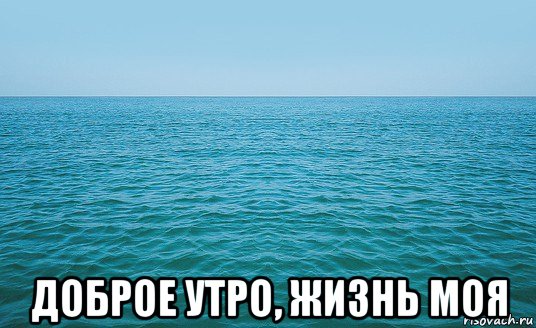  доброе утро, жизнь моя