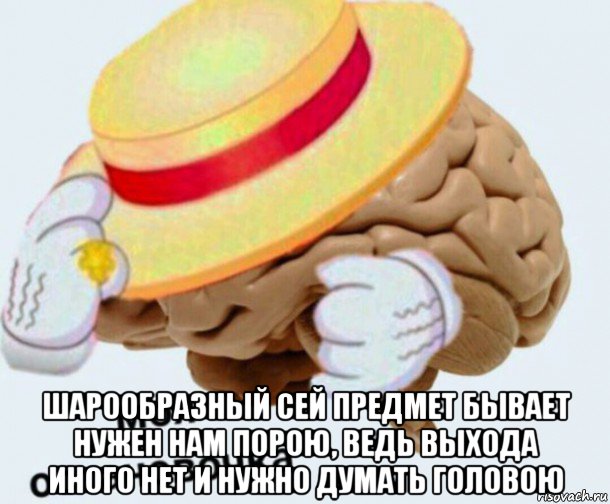  шарообразный сей предмет бывает нужен нам порою, ведь выхода иного нет и нужно думать головою, Мем   Моя остановочка мозг