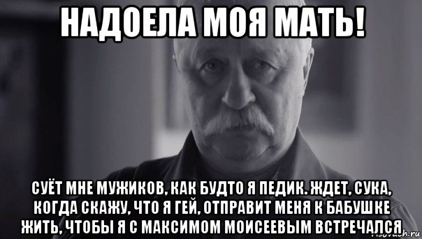 надоела моя мать! суёт мне мужиков, как будто я педик. ждет, сука, когда скажу, что я гей, отправит меня к бабушке жить, чтобы я с максимом моисеевым встречался, Мем Не огорчай Леонида Аркадьевича