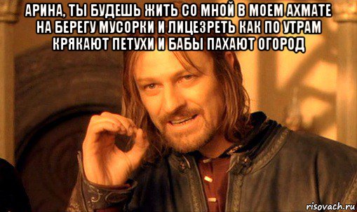 арина, ты будешь жить со мной в моем ахмате на берегу мусорки и лицезреть как по утрам крякают петухи и бабы пахают огород , Мем Нельзя просто так взять и (Боромир мем)