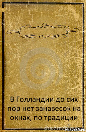  В Голландии до сих пор нет занавесок на окнах, по традиции