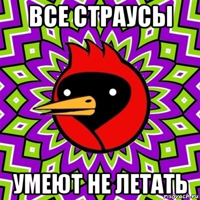 все страусы умеют не летать