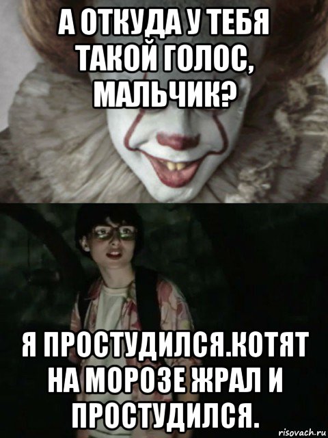 а откуда у тебя такой голос, мальчик? я простудился.котят на морозе жрал и простудился., Мем  ОНО