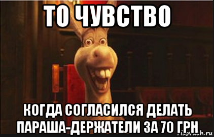 то чувство когда согласился делать параша-держатели за 70 грн, Мем Осел из Шрека