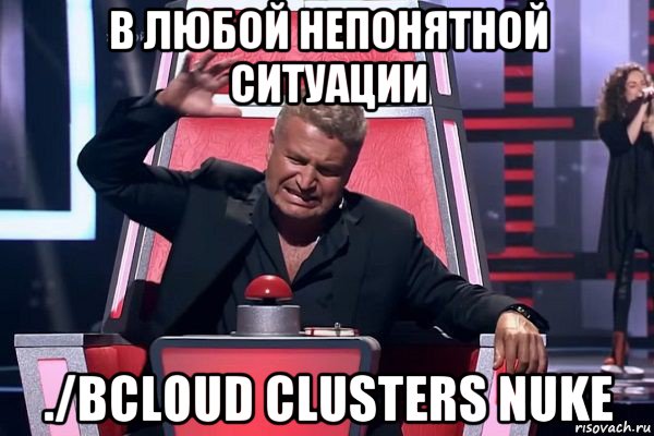 в любой непонятной ситуации ./bcloud clusters nuke, Мем   Отчаянный Агутин