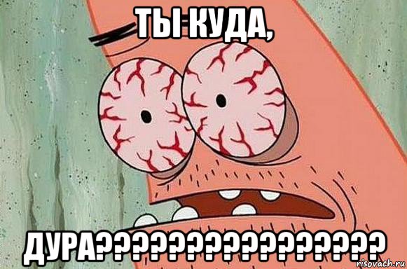 ты куда, дура????????????????