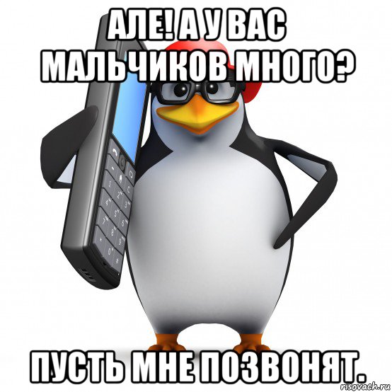 але! а у вас мальчиков много? пусть мне позвонят., Мем   Пингвин звонит