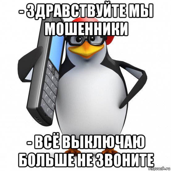 - здравствуйте мы мошенники - всё выключаю больше не звоните, Мем   Пингвин звонит