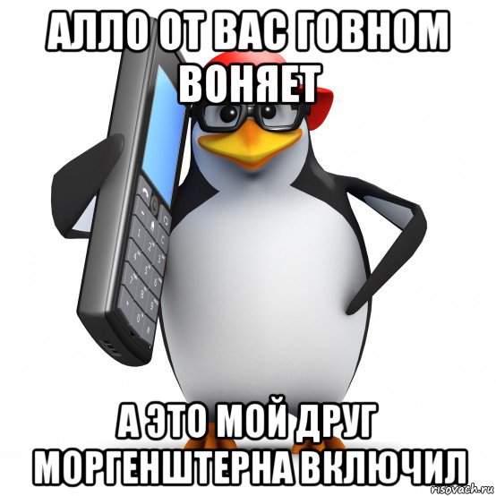 алло от вас говном воняет а это мой друг моргенштерна включил, Мем   Пингвин звонит