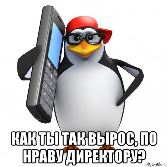  как ты так вырос, по нраву директору?, Мем   Пингвин звонит