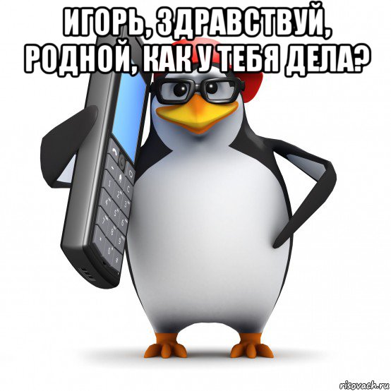 игорь, здравствуй, родной, как у тебя дела? , Мем   Пингвин звонит