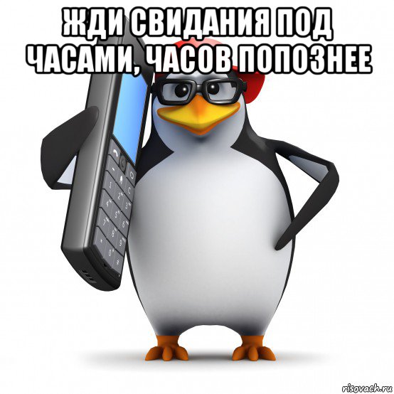 жди свидания под часами, часов попознее , Мем   Пингвин звонит