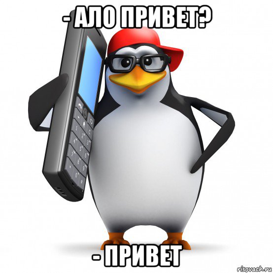 - ало привет? - привет, Мем   Пингвин звонит