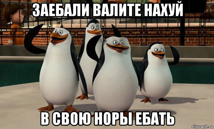 заебали валите нахуй в свою норы ебать, Мем  пингвины Мадагаскара