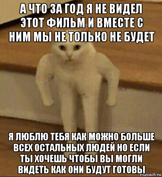 а что за год я не видел этот фильм и вместе с ним мы не только не будет я люблю тебя как можно больше всех остальных людей но если ты хочешь чтобы вы могли видеть как они будут готовы, Мем  Полукот