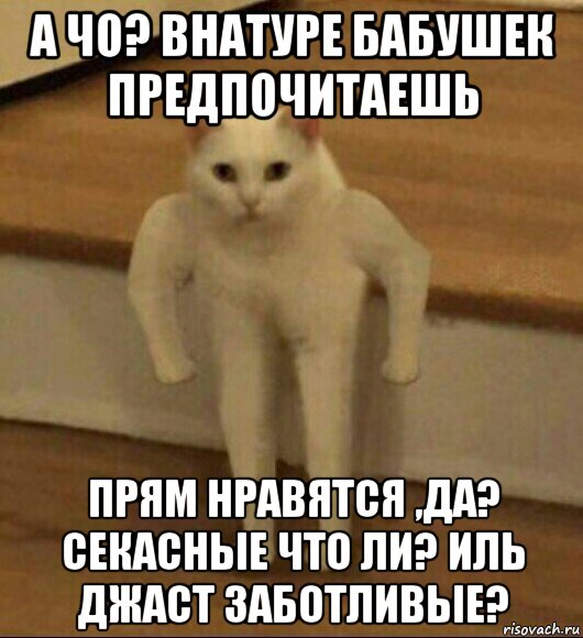 а чо? внатуре бабушек предпочитаешь прям нравятся ,да? секасные что ли? иль джаст заботливые?, Мем  Полукот