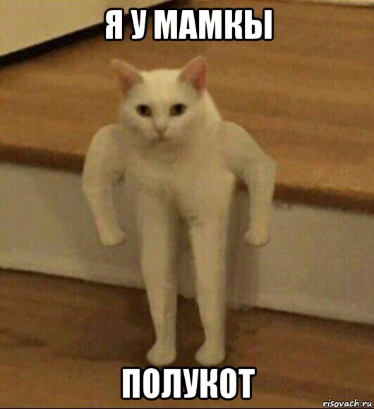 я у мамкы полукот