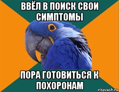 ввёл в поиск свои симптомы пора готовиться к похоронам, Мем Попугай параноик