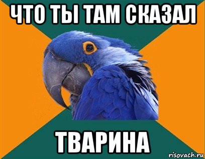 что ты там сказал тварина