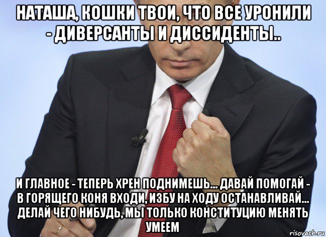 наташа, кошки твои, что все уронили - диверсанты и диссиденты.. и главное - теперь хрен поднимешь... давай помогай - в горящего коня входи, избу на ходу останавливай... делай чего нибудь, мы только конституцию менять умеем, Мем Путин показывает кулак