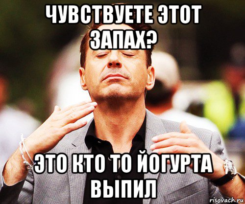 чувствуете этот запах? это кто то йогурта выпил, Мем   Дауни-младший нюхает