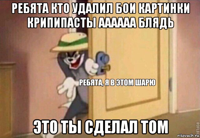 ребята кто удалил бои картинки крипипасты аааааа блядь это ты сделал том, Мем    Ребята я в этом шарю