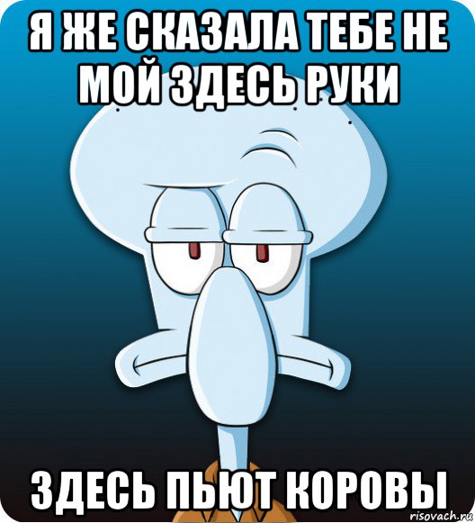 я же сказала тебе не мой здесь руки здесь пьют коровы, Мем Сквидвард