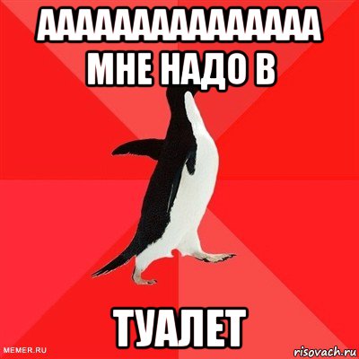 ааааааааааааааа мне надо в туалет, Мем  социально-агрессивный пингвин