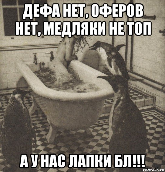 дефа нет, оферов нет, медляки не топ а у нас лапки бл!!!