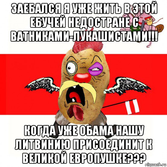 заебался я уже жить в этой ебучей недостране с ватниками-лукашистами!!! когда уже обама нашу литвинию присоединит к великой европушке???, Мем свядомы эмагар в ярости