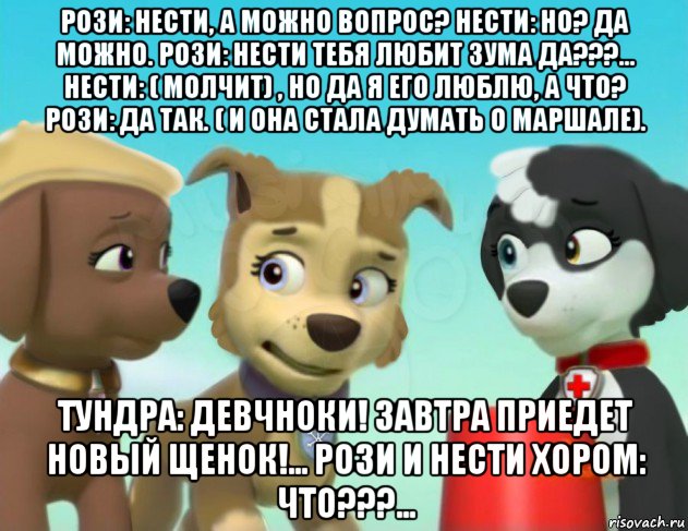 рози: нести, а можно вопрос? нести: но? да можно. рози: нести тебя любит зума да???... нести: ( молчит) , но да я его люблю, а что? рози: да так. ( и она стала думать о маршале). тундра: девчноки! завтра приедет новый щенок!... рози и нести хором: что???...