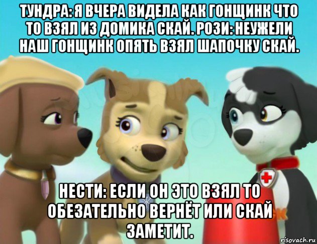 тундра: я вчера видела как гонщинк что то взял из домика скай. рози: неужели наш гонщинк опять взял шапочку скай. нести: если он это взял то обезательно вернёт или скай заметит.