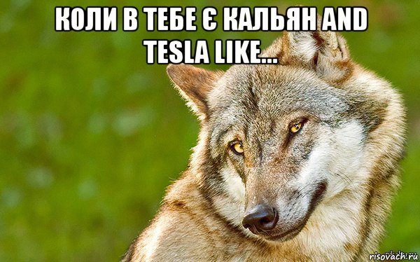 коли в тебе є кальян and tesla like... , Мем   Volf