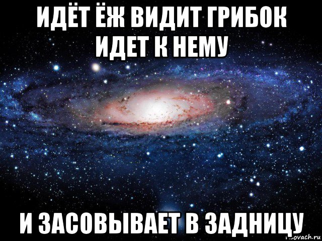 идёт ёж видит грибок идет к нему и засовывает в задницу, Мем Вселенная