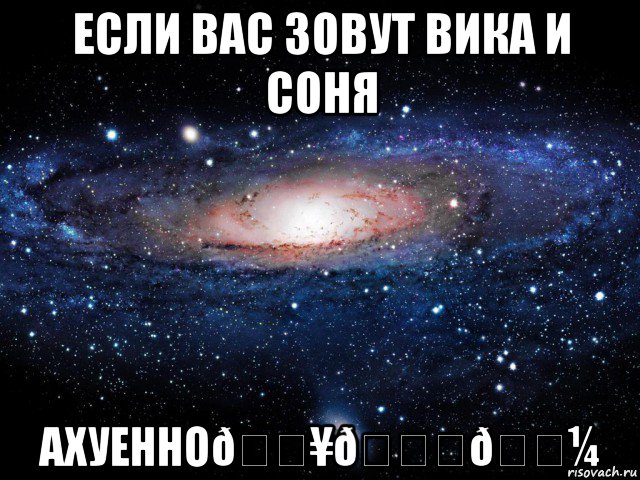 Мем Вселенная