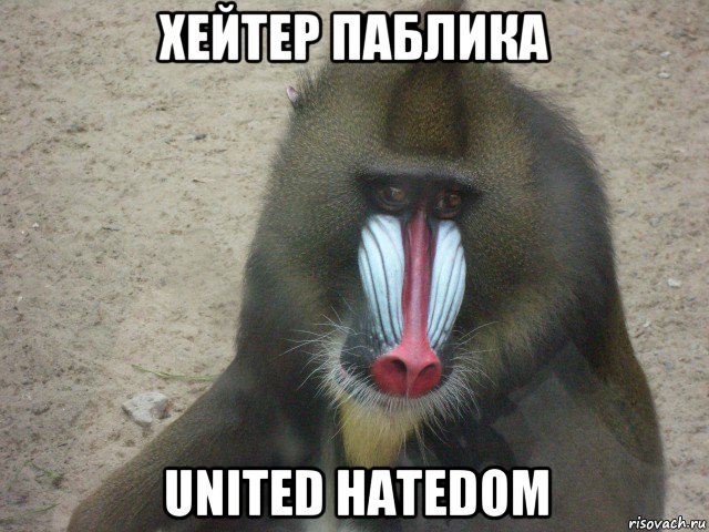 хейтер паблика united hatedom, Мем задумчивая обезьяна