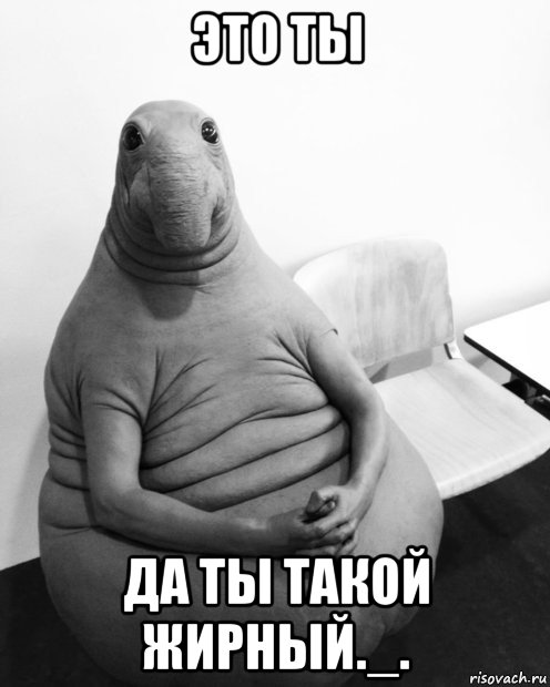 это ты да ты такой жирный._., Мем  Ждун