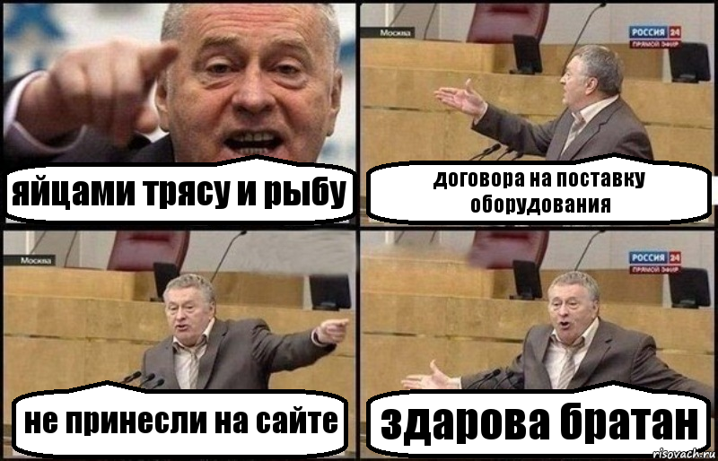 яйцами трясу и рыбу договора на поставку оборудования не принесли на сайте здарова братан, Комикс Жириновский