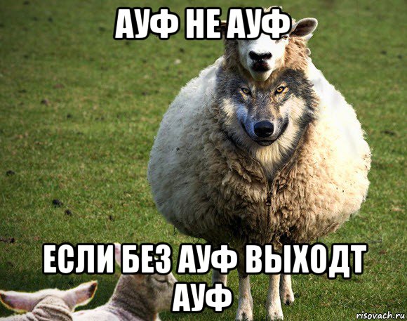 ауф не ауф если без ауф выходт ауф