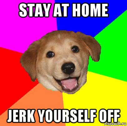 stay at home jerk yourself off, Мем Advice Dog