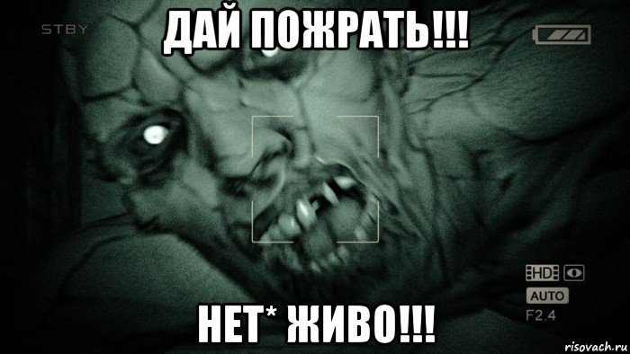 дай пожрать!!! нет* живо!!!