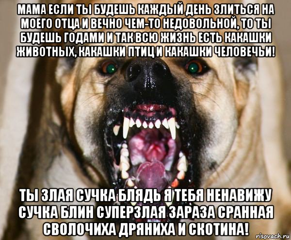 мама если ты будешь каждый день злиться на моего отца и вечно чем-то недовольной, то ты будешь годами и так всю жизнь есть какашки животных, какашки птиц и какашки человечьи! ты злая сучка блядь я тебя ненавижу сучка блин суперзлая зараза сранная сволочиха дряниха и скотина!, Мем бешеная собака