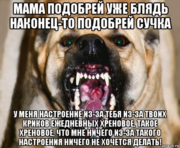 мама подобрей уже блядь наконец-то подобрей сучка у меня настроение из-за тебя из-за твоих криков ежедневных хреновое, такое хреновое, что мне ничего из-за такого настроения ничего не хочется делать!