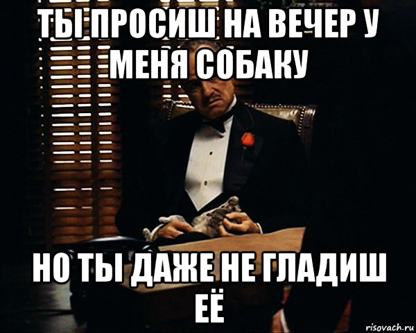 ты просиш на вечер у меня собаку но ты даже не гладиш её, Мем Дон Вито Корлеоне