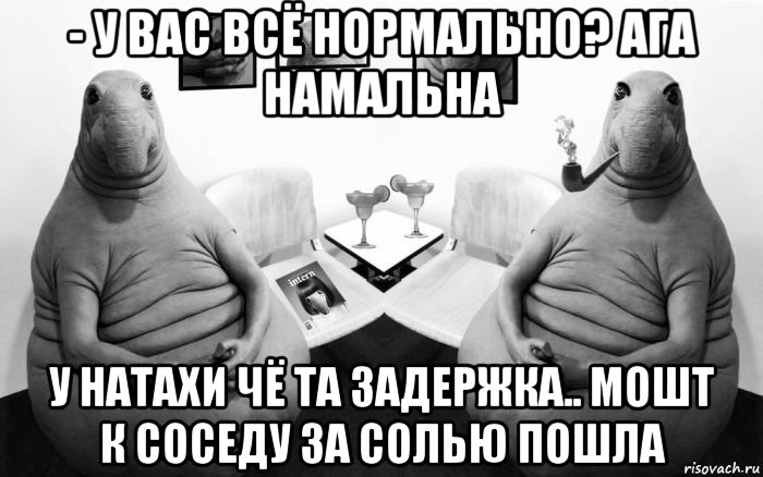 - у вас всё нормально? ага намальна у натахи чё та задержка.. мошт к соседу за солью пошла, Мем  Два ждуна