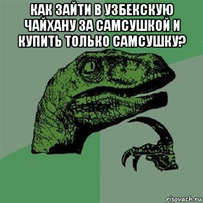 как зайти в узбекскую чайхану за самсушкой и купить только самсушку? , Мем Филосораптор