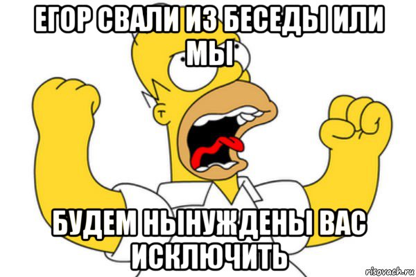 егор свали из беседы или мы будем нынуждены вас исключить, Мем Разъяренный Гомер