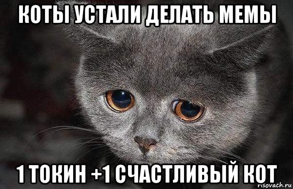 коты устали делать мемы 1 токин +1 счастливый кот, Мем  Грустный кот