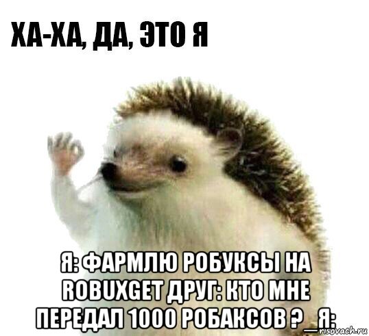  я: фармлю робуксы на robuxget друг: кто мне передал 1000 робаксов ?_я: